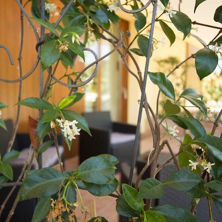 Вилла Il Vecchio Gelso - Agriturismo Rimini Montefiore Conca Экстерьер фото