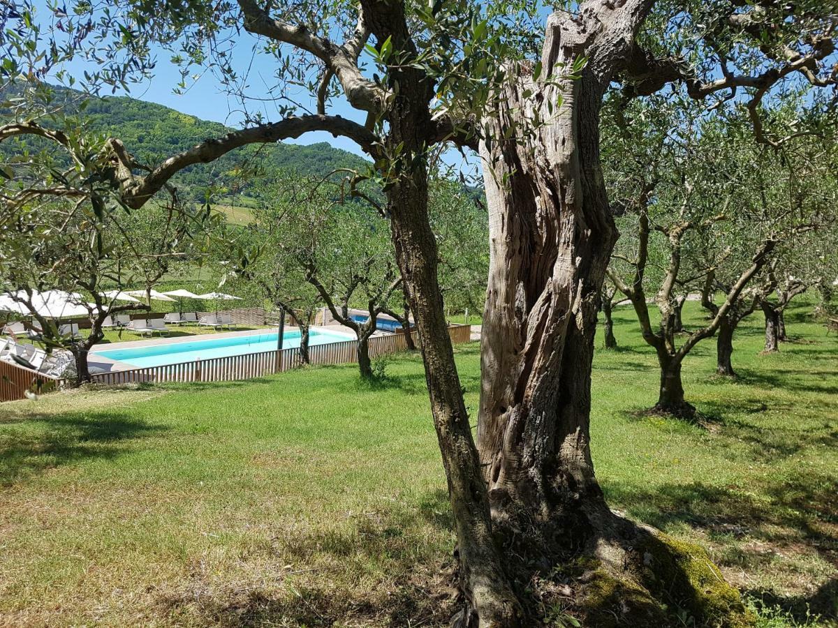 Вилла Il Vecchio Gelso - Agriturismo Rimini Montefiore Conca Экстерьер фото