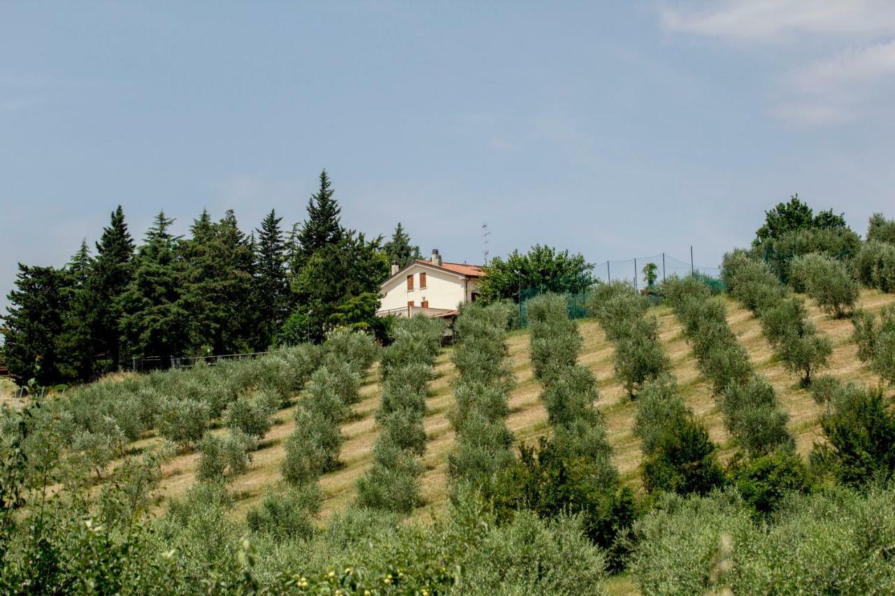 Вилла Il Vecchio Gelso - Agriturismo Rimini Montefiore Conca Экстерьер фото