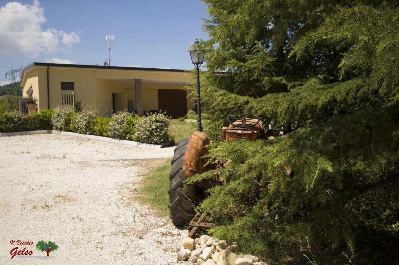 Вилла Il Vecchio Gelso - Agriturismo Rimini Montefiore Conca Экстерьер фото