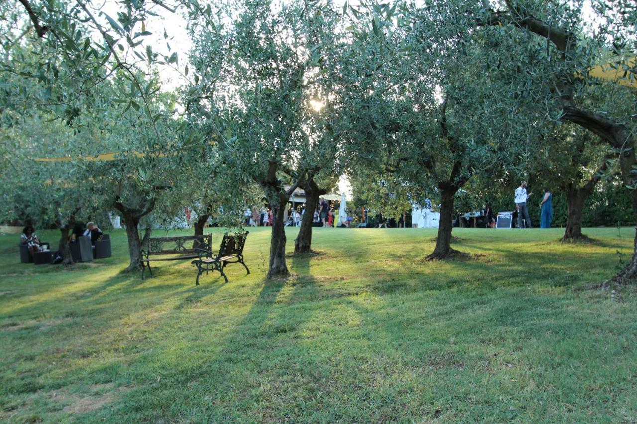 Вилла Il Vecchio Gelso - Agriturismo Rimini Montefiore Conca Экстерьер фото