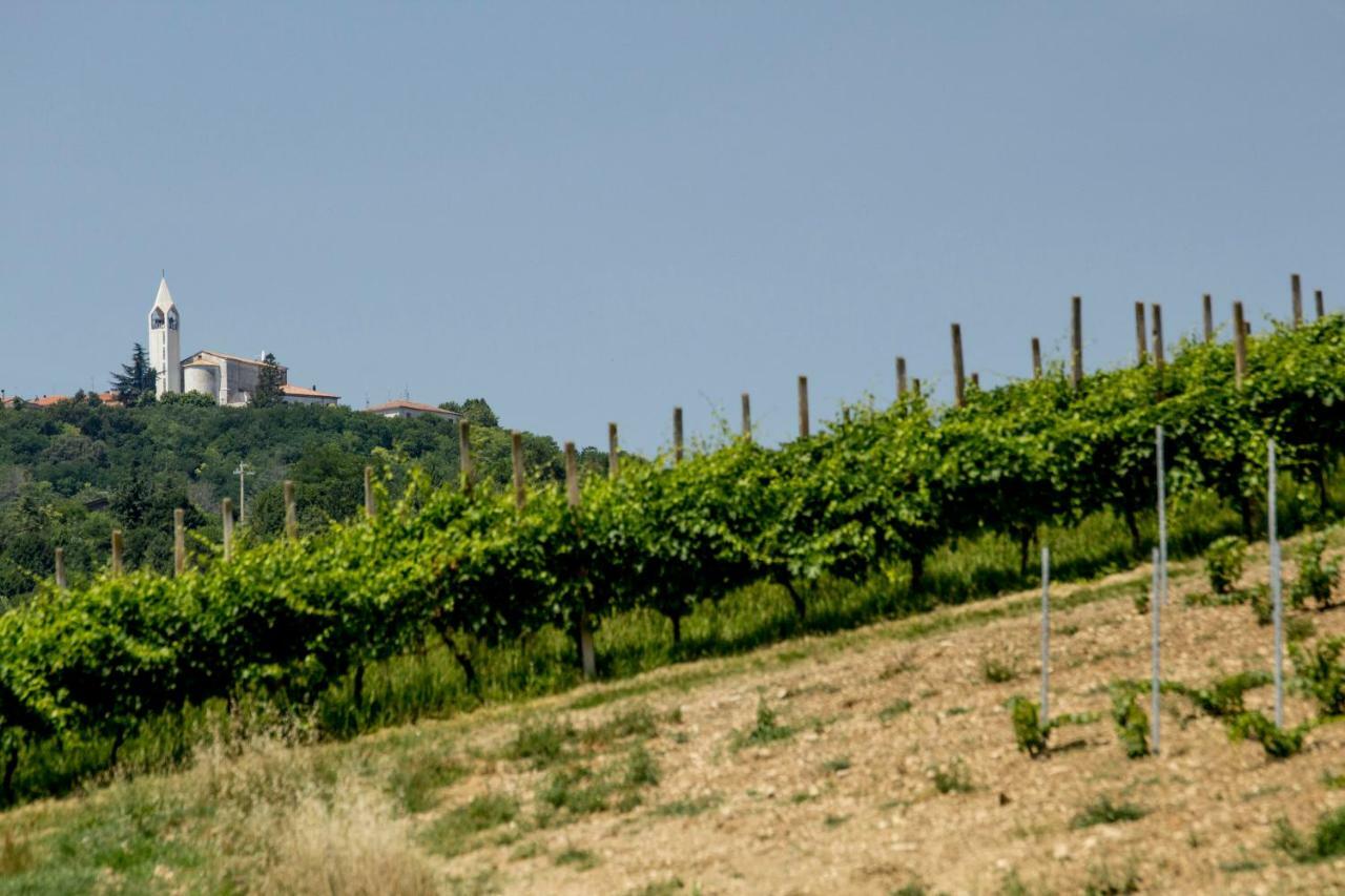 Вилла Il Vecchio Gelso - Agriturismo Rimini Montefiore Conca Экстерьер фото